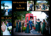 Alexandra & Aaron's Wedding Day Celabration @the gardens