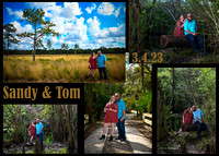 Sandy & Tom's Wildlife Adventure Engagement Session