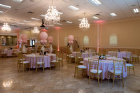 Williams Wedding Tampa
